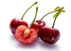 加拿大鮮櫻桃進(jìn)口報關(guān)清關(guān)代理服務(wù)【經(jīng)典案例】